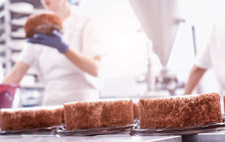 Mass production of cakes and sweets at the confectionery factory. Chefs make cakes of fresh berries and biscuit, food industryの写真素材