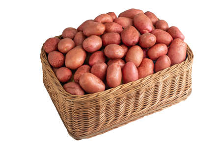 Basket with potatoes with red peel on a white background, isolate. Organic natural vegetables, autumnの写真素材