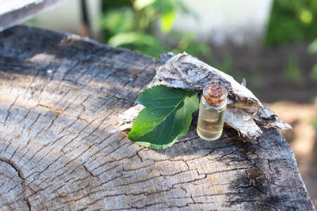 Tea tree essential oil bottle on wooden background. Medical oil in medicine, herbal medicine, cosmetologyの写真素材