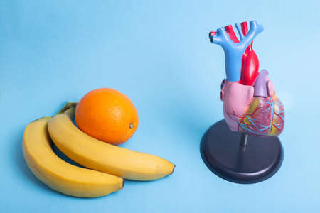 Mock up human heart and fruits orange and bananas on a blue background. The concept of proper and healthy nutrition for a healthy heart and blood vessels, helpfulnessの写真素材