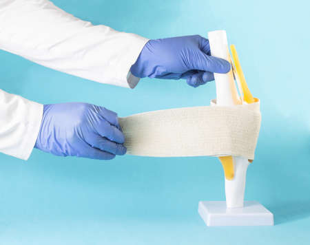 The doctor winds an elastic bandage on a mock knee joint on a blue background. Knee sprain and...