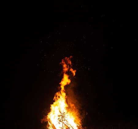 Big beautiful bonfire in the night forest in the holiday bath. Tourism and recreation in the forest...