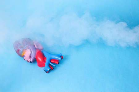 Human heart mockup on a blue background, smoke with cold vapor on the middle. Cardiovascular system...