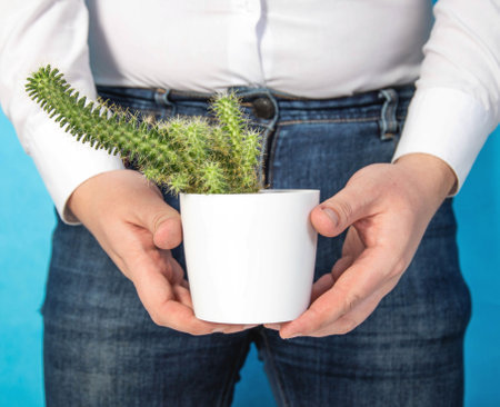 A man holds a white pot with a cactus in his hands against the background of his groin. The concept of care and hygiene in the groin area, intimate haircutの写真素材