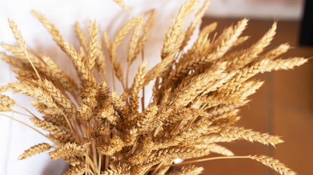Bouquet of mature ears of grain, close-up. The concept of ripening and harvesting the harvest of rye...