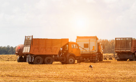 Agricultural machinery on the field in autumn. The concept of harvesting from the fields, industry. Grain harvest.の写真素材