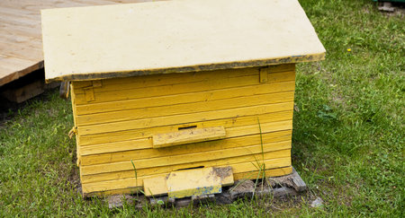 yellow wooden beehive in the apiary. Breeding bees and extracting honey, close-up