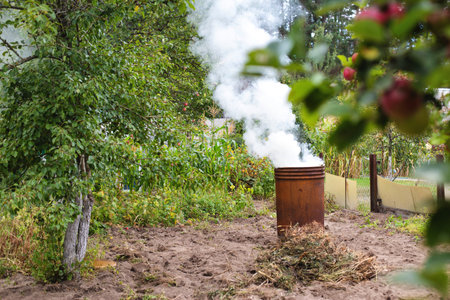 Burning dry grass and garbage in the country in the fall in an iron barrel. Penalty and fire hazard if weed is burned incorrectly. Copy space for textの写真素材