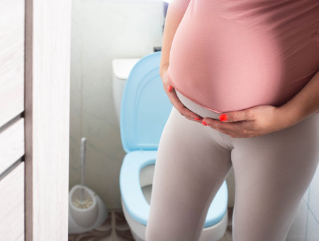 Pregnant girl with a big belly on the background of the toilet. The concept of frequent urination in pregnant women.の写真素材