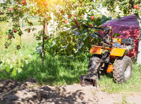 A multifunctional walk-behind tractor stands under an apple tree in summer in sunny weather, industry. Technique for assistance in agriculture.の写真素材