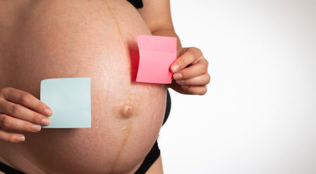 A pregnant girl holds a blue and pink sticker in her hands on the background of her belly. The concept of planning the sex of the child. Boy or girl.の写真素材