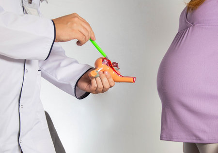 A gynecologist doctor explains to a pregnant girl the process of egg fertilization using the example of a model of the reproductive system. Pregnancy and physiology, contraceptionの写真素材