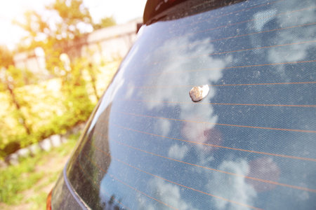 Bird droppings on car glass, damage from droppings to a carの写真素材