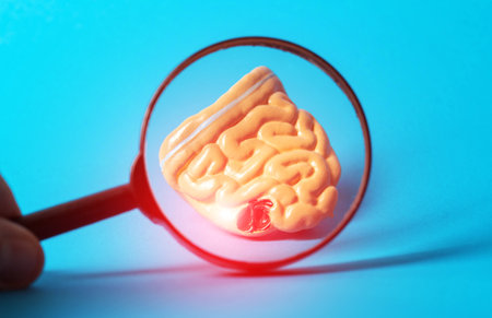 Medical mockup of an inflamed human intestine under a magnifying glass on a blue background. Concept...