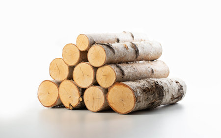 Stack of birch firewood on a white background isolate. Material for lighting a fire.の写真素材