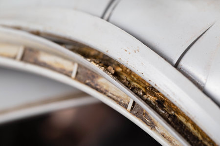 Dirt, mildew and mold in the hatch seals of the washing machine. Unsanitary and unpleasant smell. Cleaning and repairing stains in the washing machine, industryの写真素材