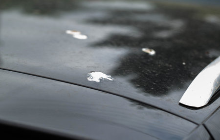 Bird droppings on the paintwork of a gray car. Concept of paint corrosion, damage, industryの写真素材
