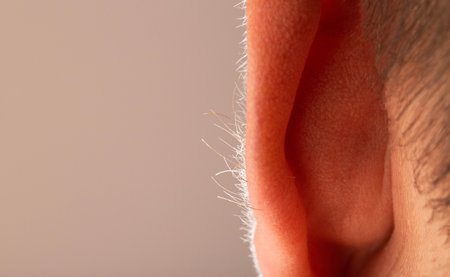 Growing hair on a man's ears, dermatology. Concept of laser hair removal on ears. Copy space for textの写真素材