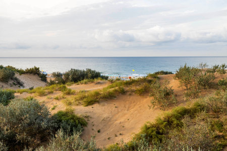 beautiful nature dunes with sands against the backdrop of the sea and sky with clouds on the horizon, summer holidayの写真素材