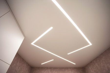 Modern stretch stylish ceiling with LED light lines.の写真素材