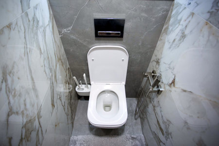 Modern wall hung toilet in the toilet with gray porcelain tiles on the wall and a chrome flush button, designの写真素材