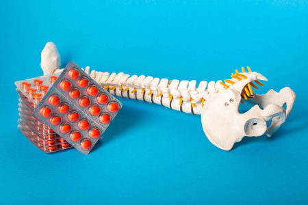 Red pills in a stack on the background of a model of the spine on a blue background. Concept of...