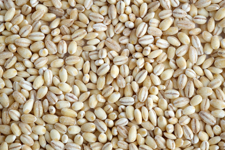 Pearl barley seedsの写真素材