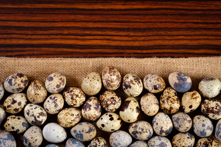Fresh quail eggsの写真素材