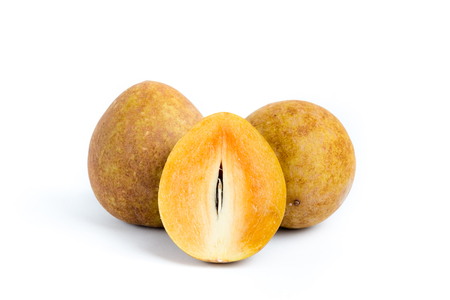 Manilkara zapota, commonly known as the sapodilla or chico fruit with white isolated backgroundの写真素材