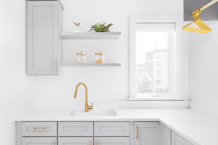 A laundry room detail shot with a gold faucet and hardware, grey cabinets, and decorations.の写真素材