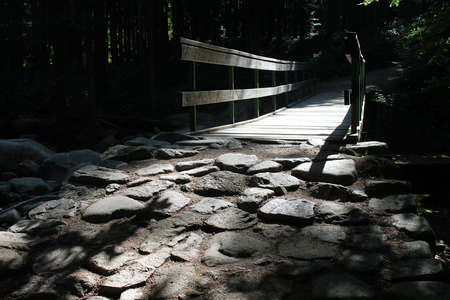 Forrest Wooden Bridge in the Morningの写真素材
