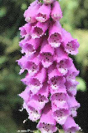 Artistic Stained Glass Flowerの写真素材