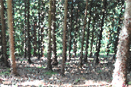 Artistic Stained Glass Forrest Hill Backgroundの写真素材