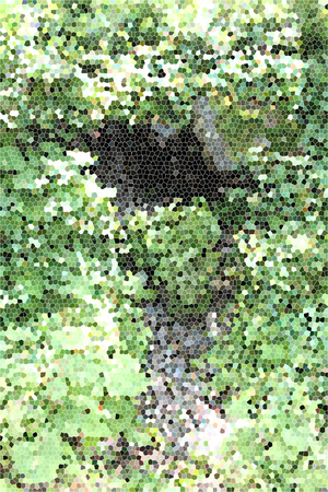 Artistic Stained Glass Stream Background Forrestの写真素材