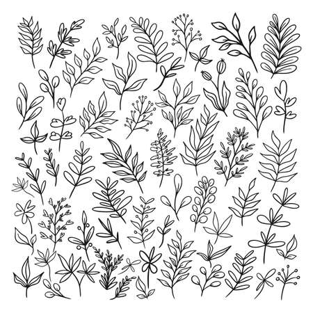 Set of sketches and line doodles hand drawn design floral elements, Wild Flowers, Hand drawn plantsのイラスト素材