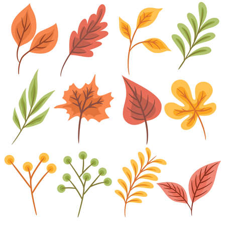 Set of colorful autumn leaves Isolated on white backgroundのイラスト素材
