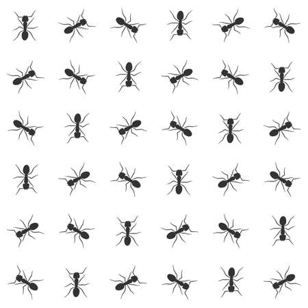 ant vector seamless pattern background, colony ant patternのイラスト素材