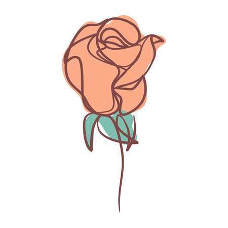 Abstract flower in continuous line art drawing style. One line floral drawing. Modern Minimalistのイラスト素材