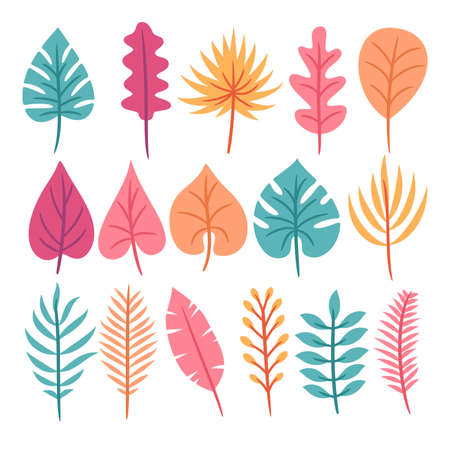 Tropical leaves botanical vector collection. Set of tropical leaves vector. Tropical leaves setのイラスト素材