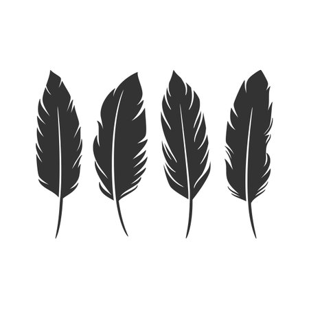 Bird Feather black set collection, Feather vector illustrationのイラスト素材