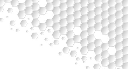 Abstract Geometric Shape Hexagon Background, White and grey honey geometric textureのイラスト素材