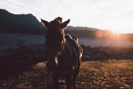 Mt.Bromo East Javaの素材
