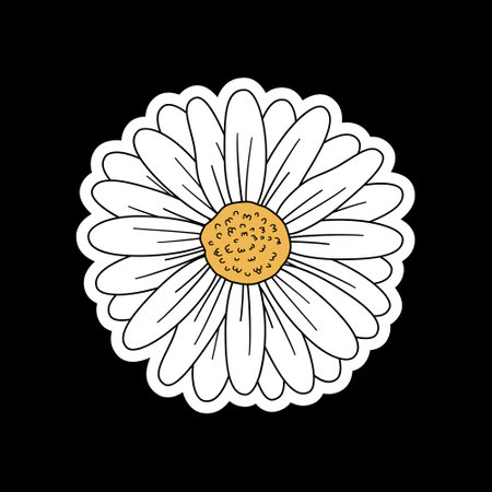 Vector of daisy flower on black background. Suitable for sticker, t-shirt design, or design elementのイラスト素材