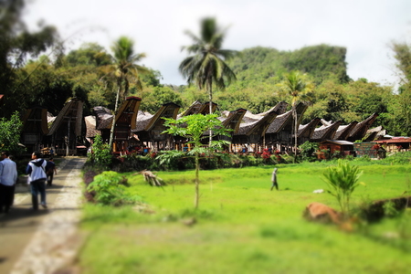 Tongkonan - Traditional House of Torajaの写真素材