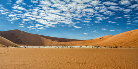 Dead trees with a beautiful cloudy sky in Dead Vlei in Sossusvlei, part of the Namib-Naukluft National Park - Namibiaの写真素材