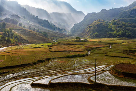 Rice field in harvest season in the mountains near Sapa in the North of Vietnamの写真素材
