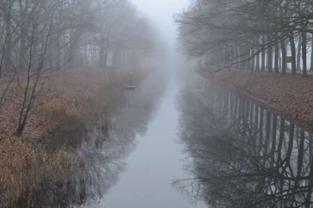 American oaks along the the Apeldoorn Canalの写真素材