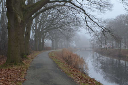 American oaks biking along the road or the Apeldoorn Canalの写真素材