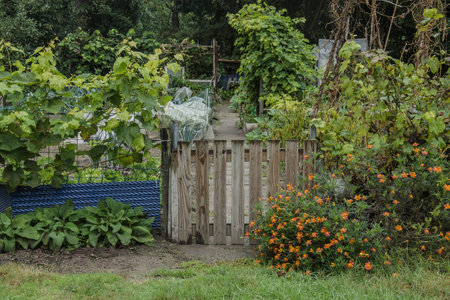Garden with a wooden fence and a flower bed in the foregroundの写真素材