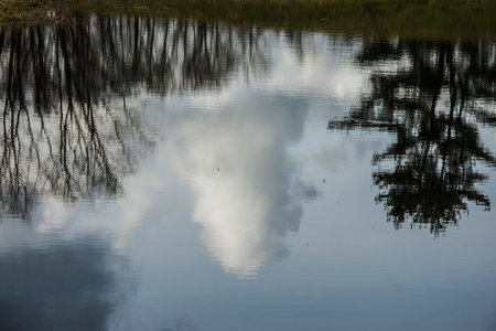 Reflection of trees in the water. The sky is reflected in the water.